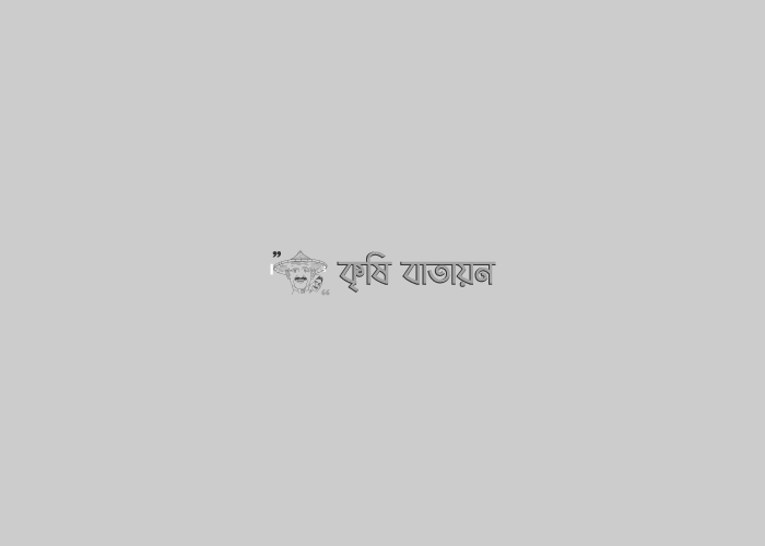 বন্যার পরে কৃষকদের করণীয়